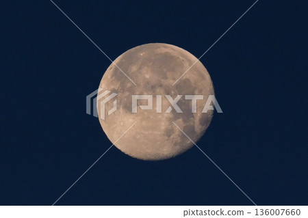 Early morning full moon 136007660