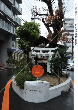 大阪市:楠木神社路中央的神樹 大阪市:楠木神社路中央的神樹 136007803