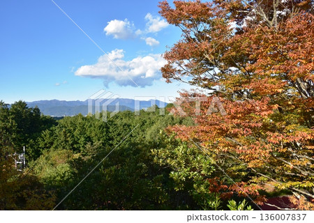 View from the observation hill at Wanpaku Land, Odawara Children's Forest Park, Kanagawa Prefecture View from the observation hill at Wanpaku Land, Odawara Children's Forest Park, Kanagawa Prefecture 136007837