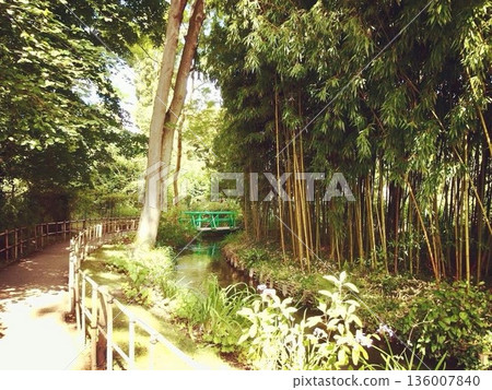 法國吉維尼的莫內花園：日式景觀，竹林溪流交織。 136007840