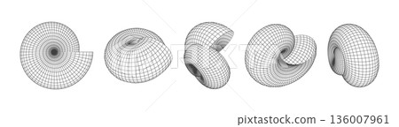 Monochrome Wireframe Grid Shape. Abstract 3D Geometric Shell Spiral Shape Monochrome Wireframe Grid Shape. Abstract 3D Geometric Shell Spiral Shape 136007961