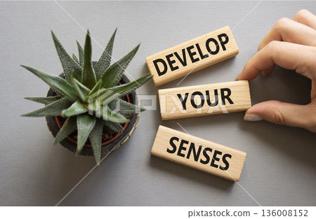 Sense symbol. Wooden blocks with words Develop your Senses. Beautiful grey background with succulent plant. Businessman hand. Business and Develop your Senses concept. Copy space. 136008152