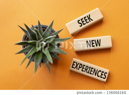 New Experiences symbol. Wooden blocks with words Seek New Experiences. Beautiful orange background with succulent. Business and New Experiences concept. Copy space. 136008168