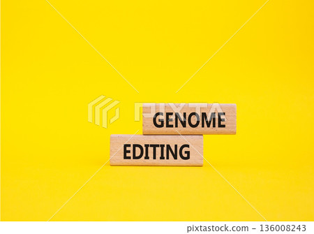 Genome Editing symbol. Wooden blocks with words Genome Editing. Beautiful yellow background. Genetics and Genome Editing concept. Copy space. Genome Editing symbol. Wooden blocks with words Genome Editing. Beautiful yellow background. Genetics and Genome Editing concept. Copy space. 136008243