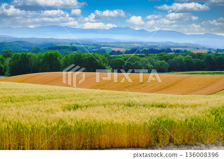 Spectacular views of Biei Town, Hokkaido Spectacular views of Biei Town, Hokkaido 136008396