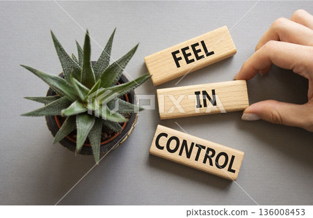 Feel in Control symbol. Wooden blocks with words Feel in Control. Beautiful grey background with succulent plant. Businessman hand. Business and Feel in Control concept. Copy space. Feel in Control symbol. Wooden blocks with words Feel in Control. Beautiful grey background with succulent plant. Businessman hand. Business and Feel in Control concept. Copy space. 136008453