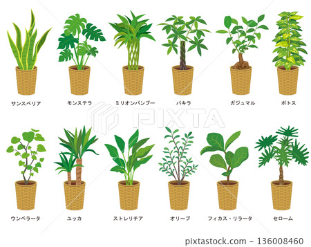 室內植物插圖集 室內植物插圖集 136008460