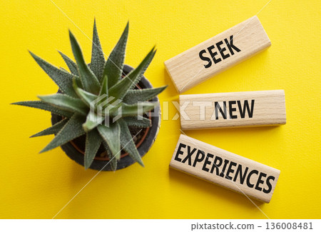 New Experiences symbol. Wooden blocks with words Seek New Experiences. Beautiful yellow background with succulent. Business and New Experiences concept. Copy space. 136008481