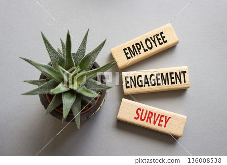 Employee Engagement Survey symbol. Concept words Employee Engagement Survey on wooden blocks. Businessman hand. Beautiful grey background with succulent. Business concept. Copy space. 136008538