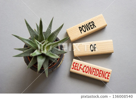Self-Confidence symbol. Wooden blocks with words Power of Self-Confidence. Beautiful grey background with succulent plant. Business concept. Copy space. Self-Confidence symbol. Wooden blocks with words Power of Self-Confidence. Beautiful grey background with succulent plant. Business concept. Copy space. 136008540