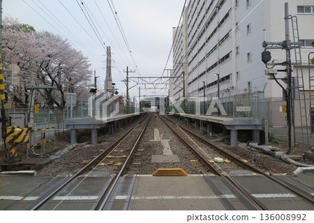 車站、鐵軌、建築物和櫻花 1 136008992