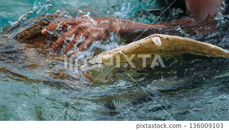 Sea Turtle Swimming Close-up in Shallow Tropical Ocean Water 136009103