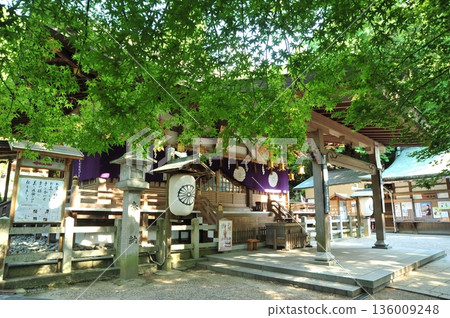 Hiraoka Shrine 136009248