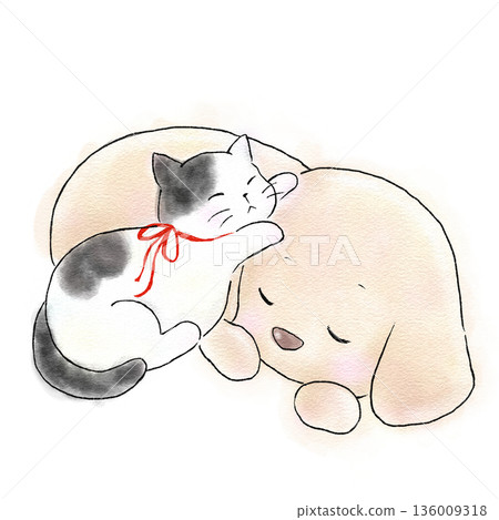 貓和狗蜷縮在一起睡覺 136009318