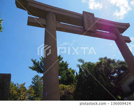 Looking up at the torii of the shrine 136009424