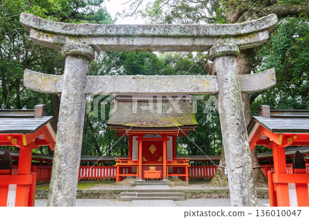 Torii gate to small shrine of Usa Jingu shrine, Oita, Japan Torii gate to small shrine of Usa Jingu shrine, Oita, Japan 136010047
