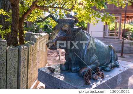 ox sculpture statue, Miyajidake Shrine, Fukutsu, Fukuoka 136010061
