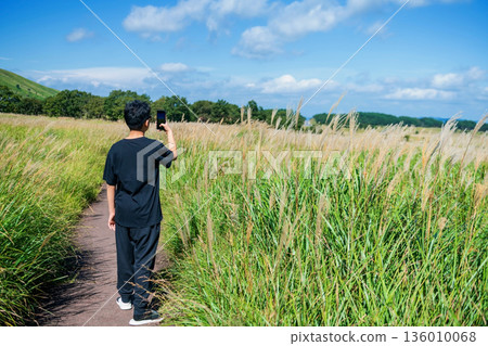 Japanese man photo grassland marsh of Tadewara Wetlands, Oita Japanese man photo grassland marsh of Tadewara Wetlands, Oita 136010068