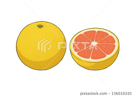 grapefruit  136010285