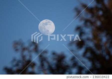 Winter's Thirteenth Moon Winter's Thirteenth Moon 136010422