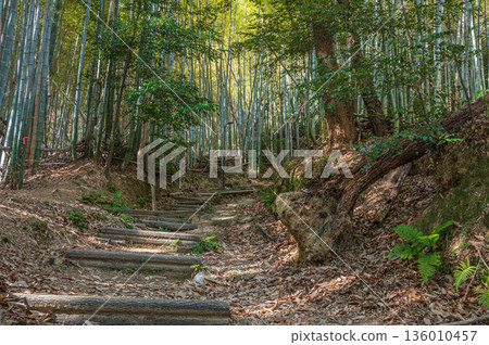 天王山登山路線，京都府乙國郡大山崎町 136010457