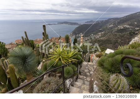 south france, cactus, landscape 136010809
