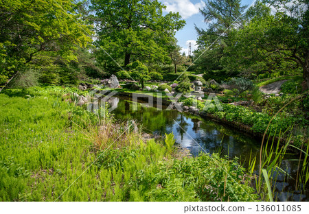 Pond in Japanese garden in May (inside Bergianska tradgarden) i Pond in Japanese garden in May (inside Bergianska tradgarden) i 136011085