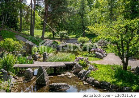 Japanese pond in Bergian garden in Stockholm 136011169