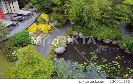 A pond in a Japanese garden and swimming koi carp. A pond in a Japanese garden and swimming koi carp. 136011170