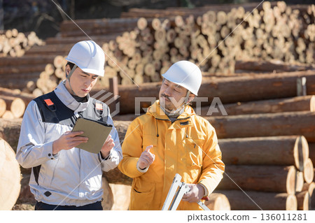 一些從事林業等初級產業的人員，正用遊標卡尺測量原木，看著房地產建築材料的圖片，臉上露出笑容。 136011281