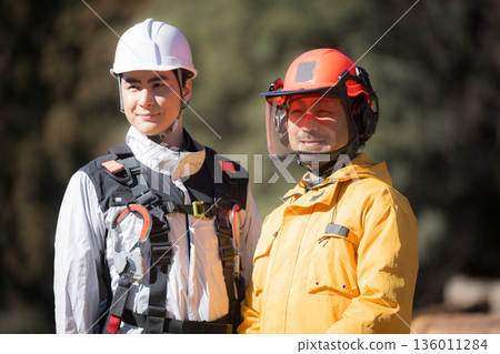 Multiple people working in primary industries such as forestry. A team of people working at heights and cutting trees with chainsaws looking at the camera. Multiple people working in primary industries such as forestry. A team of people working at heights and cutting trees with chainsaws looking at the camera. 136011284