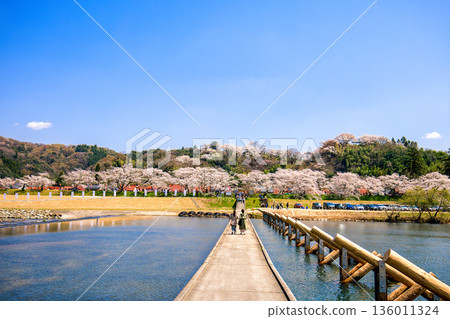 島根縣飛井川堤岸櫻花樹線 - 水下橋 136011324