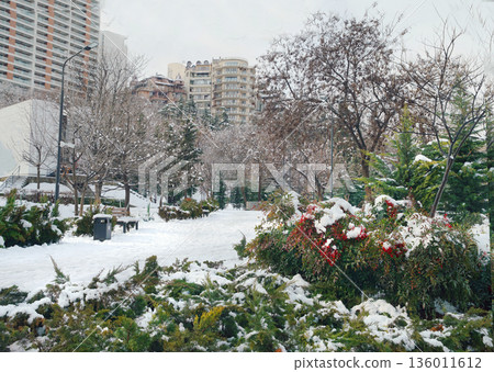 Snow in garden in Tbilisi 136011612