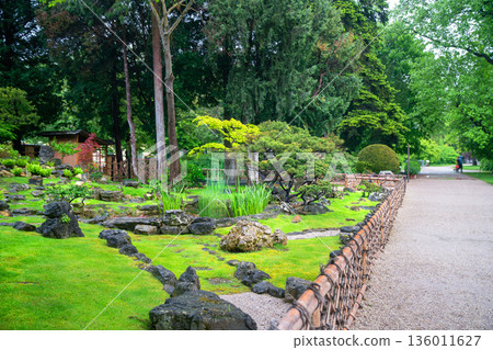 Japanese garden in Vienna with pond and rocks in green grass, rhododendron blossoms. Pine trees and pruned trees and Japanese maple tree (with red leaves) Japanese garden in Vienna with pond and rocks in green grass, rhododendron blossoms. Pine trees and pruned trees and Japanese maple tree (with red leaves) 136011627