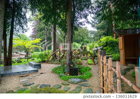 Japanese garden in Vienna with Japanese maple and topiary pine tree and rocks - beauty in nature Japanese garden in Vienna with Japanese maple and topiary pine tree and rocks - beauty in nature 136011629
