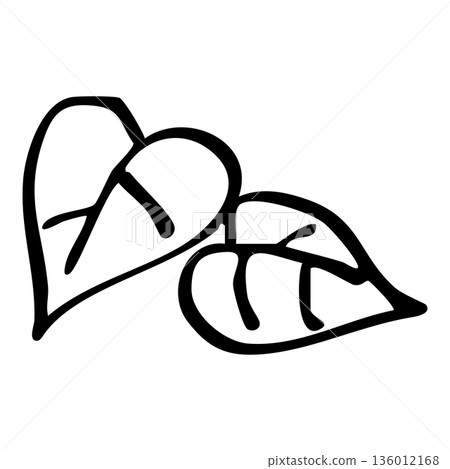 Hand-drawn line drawing illustration of leaves 136012168