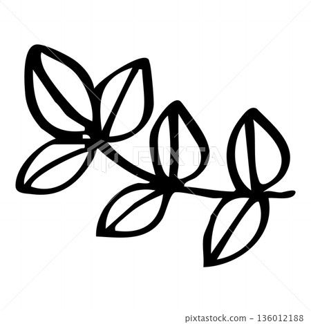 Hand-drawn line drawing of leaves and branches natural illustration material Hand-drawn line drawing of leaves and branches natural illustration material 136012188
