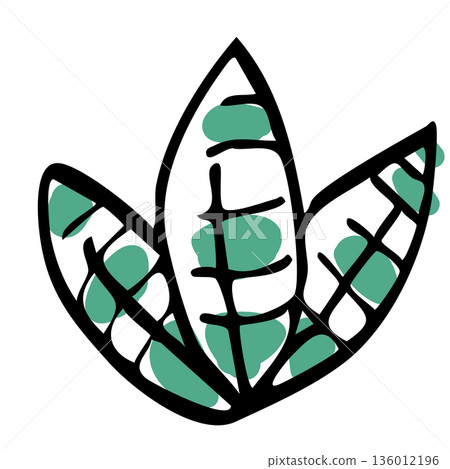 手繪的室內植物葉片線畫 136012196