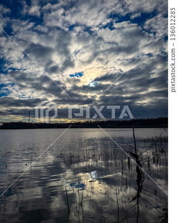 Rijkevorsel, Antwerpse Kempen, Belgium, Tranquil waterbody with reeds and moody tones displayed 136012285