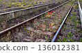 Abandoned Rail Tracks Overgrown With Red Poppy Flowers In Hungary 136012381