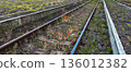 Abandoned Rail Tracks Overgrown With Red Poppy Flowers In Hungary 136012382
