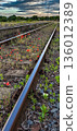 Abandoned Rail Tracks Overgrown With Red Poppy Flowers In Hungary 136012389