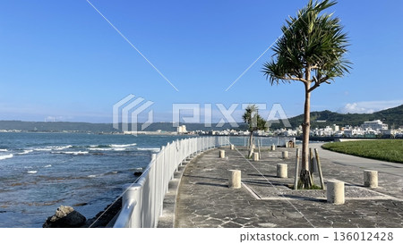 沖繩縣與那原町海岸線上,碧海藍天間,露兜樹挺立。 沖繩縣與那原町海岸線上,碧海藍天間,露兜樹挺立。 136012428