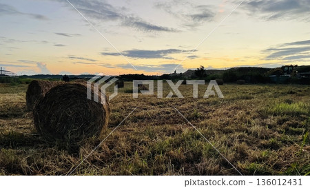 夕陽西下,草地上整齊地排列著乾草卷,天空染成橘色。 夕陽西下,草地上整齊地排列著乾草卷,天空染成橘色。 136012431
