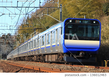 總武快速線/橫須賀線 E235 系列 總武快速線/橫須賀線 E235 系列 136012463