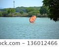 在池塘上玩翼板衝浪 136012466