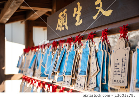 一幅根據牛久大佛繪製的生命禱文 136012793