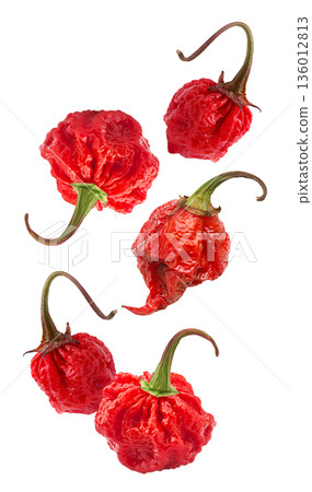 Wrinkled red Carolina Reaper chili peppers isolated on white background, close-up of extreme heat food concept, natural style 136012813