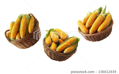 Multiple wicker baskets filled with fresh yellow corn cobs with husks, isolated on white background, concept of harvest abundance Multiple wicker baskets filled with fresh yellow corn cobs with husks, isolated on white background, concept of harvest abundance 136012839