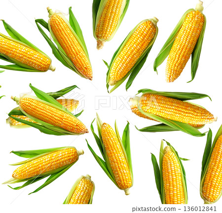 Juicy corn cobs with green husks displayed in seamless layout, isolated on white backdrop, concept of organic food and harvest 136012841